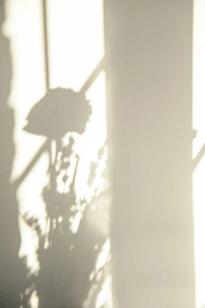 Sombras proyectadas en la pared